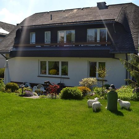 Pension Robin Hood Willingen  Esterno foto