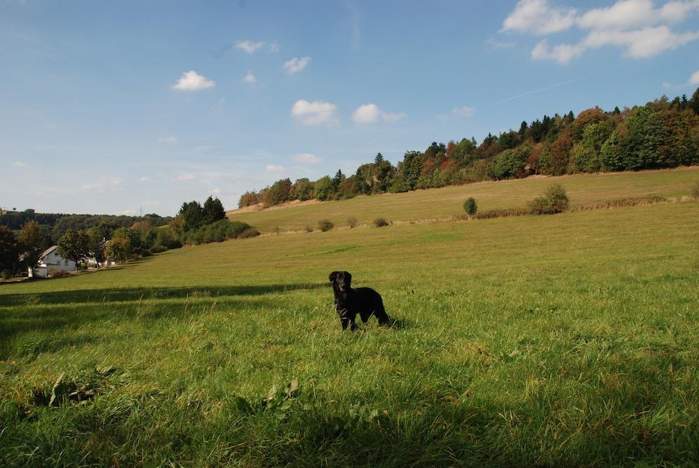 Pension Robin Hood Willingen  Esterno foto
