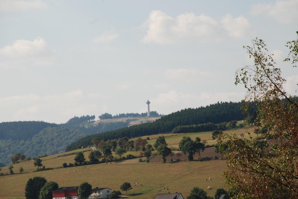 Pension Robin Hood Willingen  Esterno foto