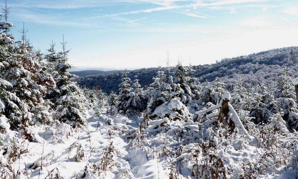 Pension Robin Hood Willingen  Esterno foto