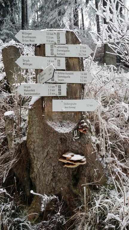 Pension Robin Hood Willingen  Esterno foto