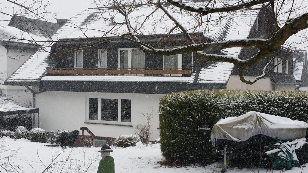 Pension Robin Hood Willingen  Esterno foto