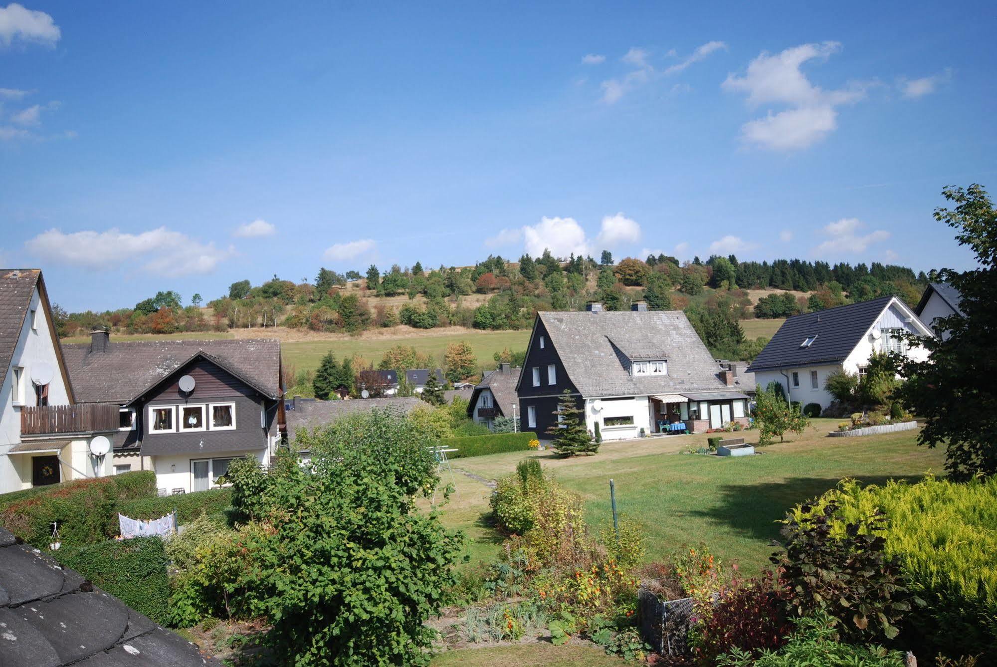 Pension Robin Hood Willingen  Esterno foto